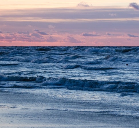 planning-cremation-memorial-ocean-ashes-134326-edited