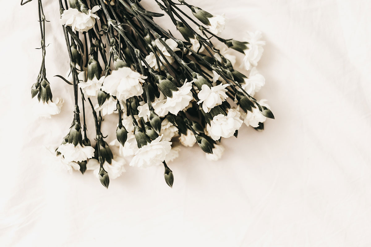 Affordable Funeral Services in Sydney | Lady Anne Funerals